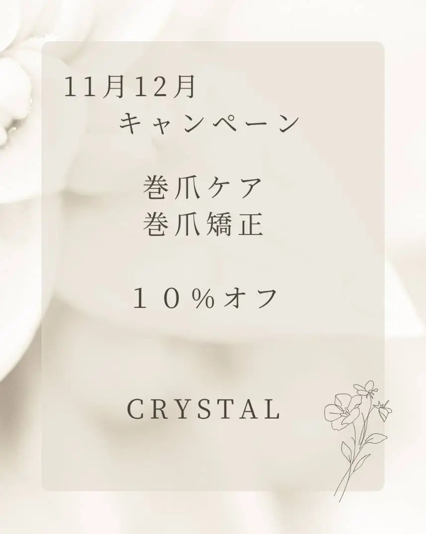 11月12月キャンペーン